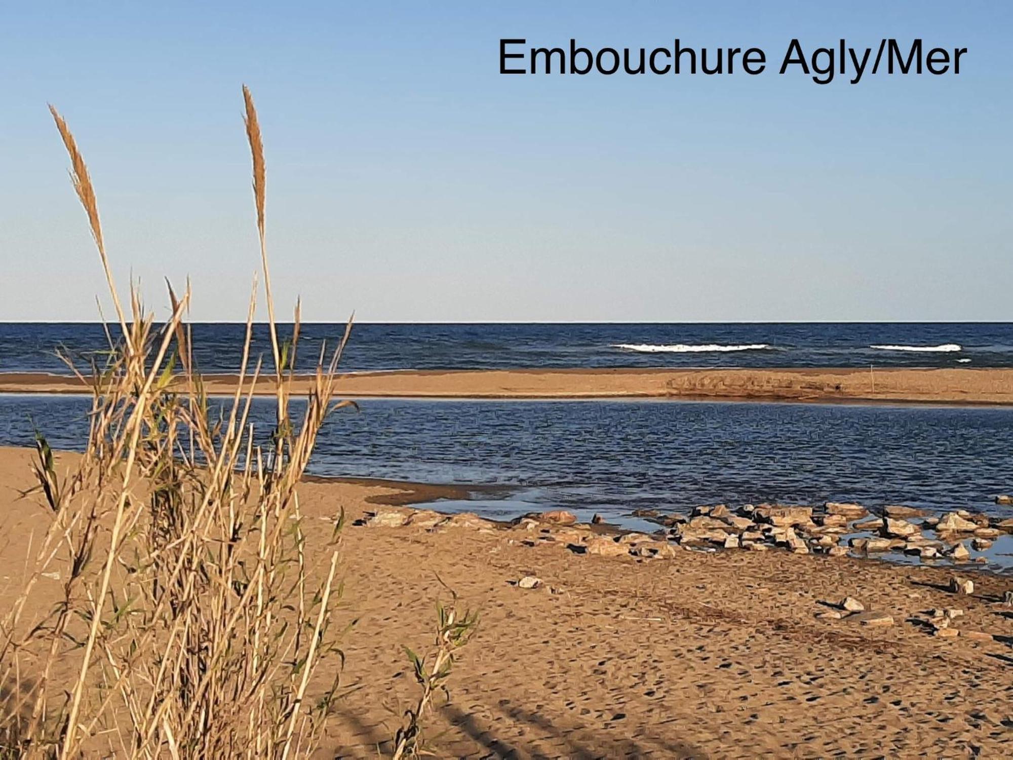 Logement Entier, Calme, Hyper Equipe Saint-Laurent-de-la-Salanque Luaran gambar